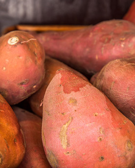Instructions for planting sweet potatoes