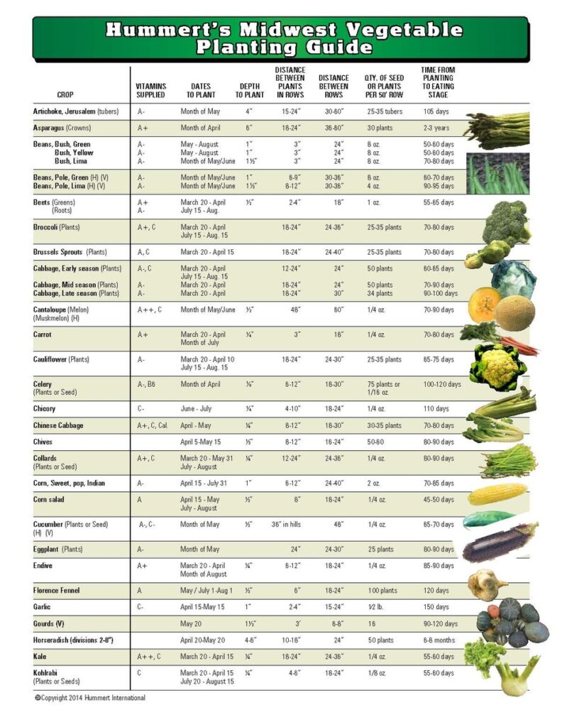 Hummert's Midwest Vegetable Planting Guide