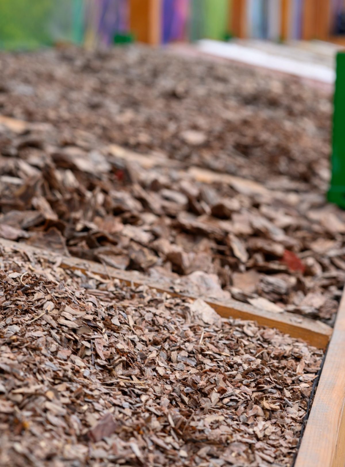 Five Advantages of Mulching Your Trees and Shrubs Through the Winter Monthsfeatured image