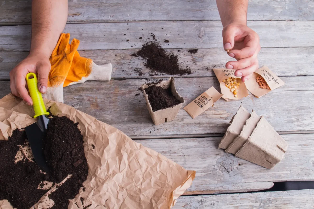 A Comprehensive Guide To Different Types Of Potting Soil For Indoor And Outdoor Gardening