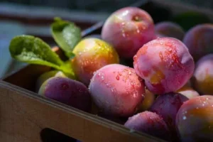 Methely Plums In A Box 735x491