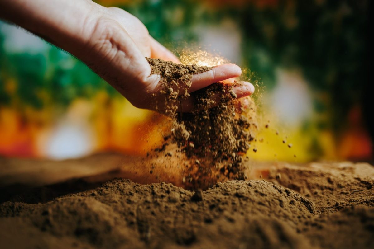 How To Build A Garden Dirt Cheap On A Budget